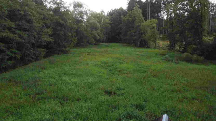 Prodej pole, Chýnov - Dobronice u Chýnova, 22334 m2