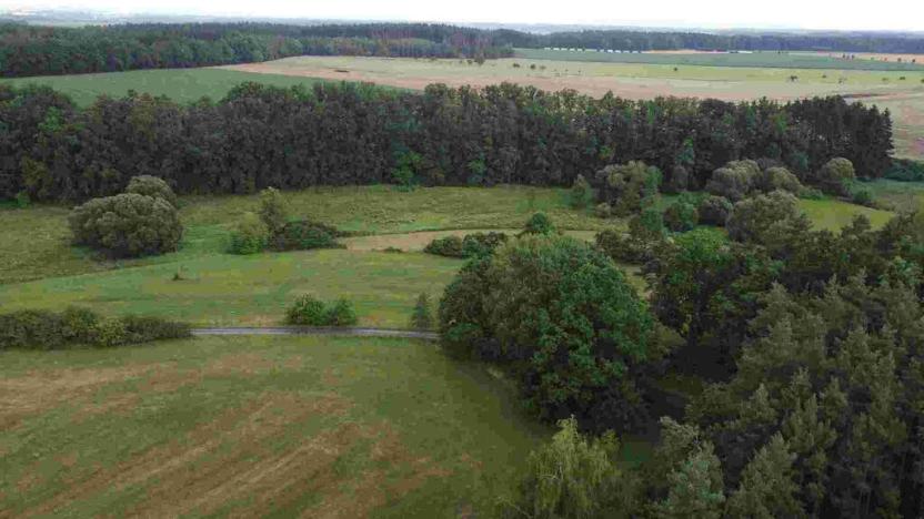 Prodej pole, Chýnov - Dobronice u Chýnova, 22334 m2