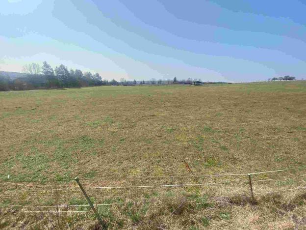 Prodej pozemku, Olešnice, 8201 m2