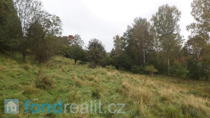 Prodej pozemku, Chřibská, 11994 m2