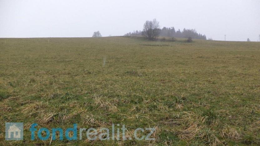 Prodej pozemku, Horní Planá - Žlábek, 36505 m2