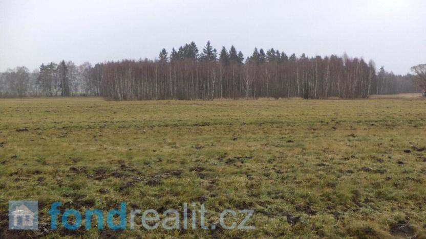 Prodej pozemku, Horní Planá - Žlábek, 36505 m2