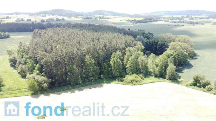 Prodej pozemku, Radomyšl, 16147 m2