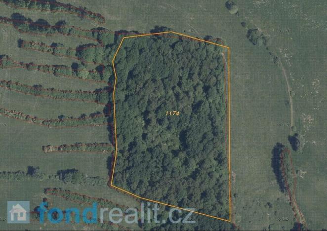 Prodej pole, Přimda, 35381 m2