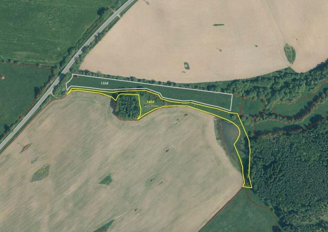 Prodej pole, Chodský Újezd - Nahý Újezdec, 25088 m2