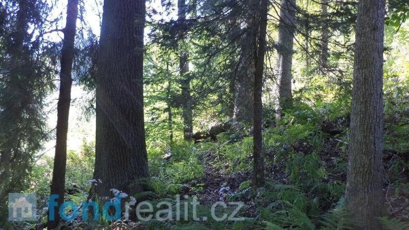 Prodej pozemku, Roztoky u Semil, 15217 m2