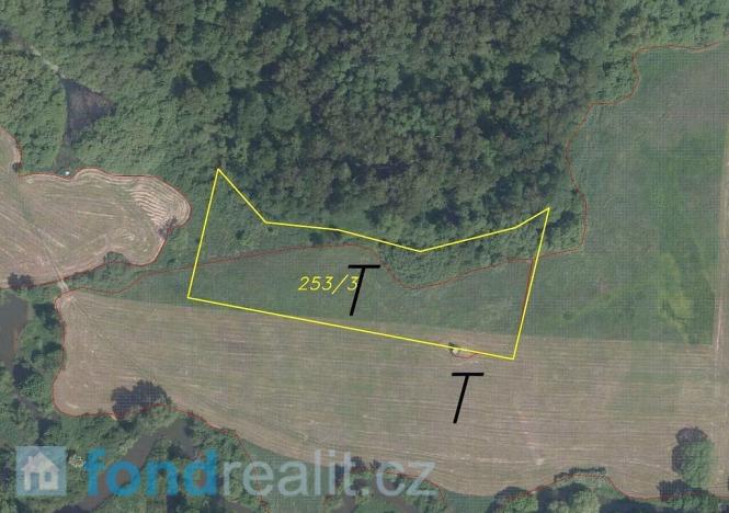Prodej pole, Česká Lípa, 5581 m2