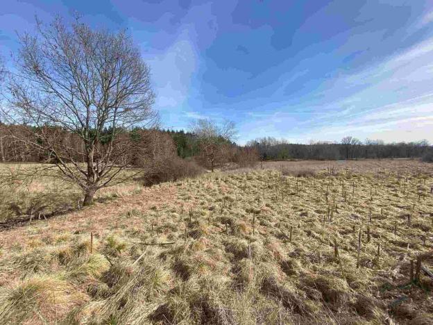 Prodej pole, Františkovy Lázně, 17923 m2