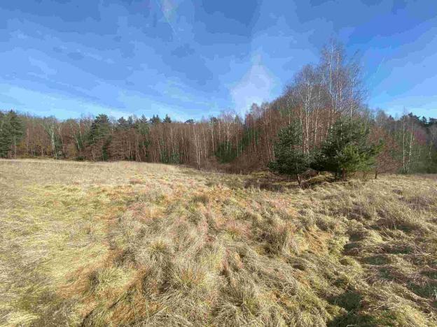 Prodej pole, Františkovy Lázně, 17923 m2