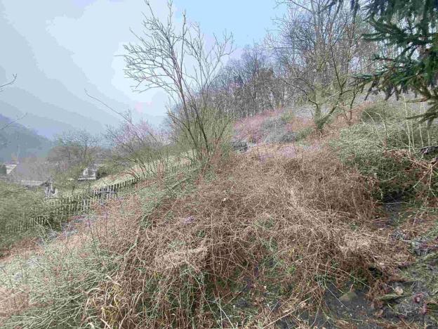 Prodej pozemku, Ryjice, 3310 m2