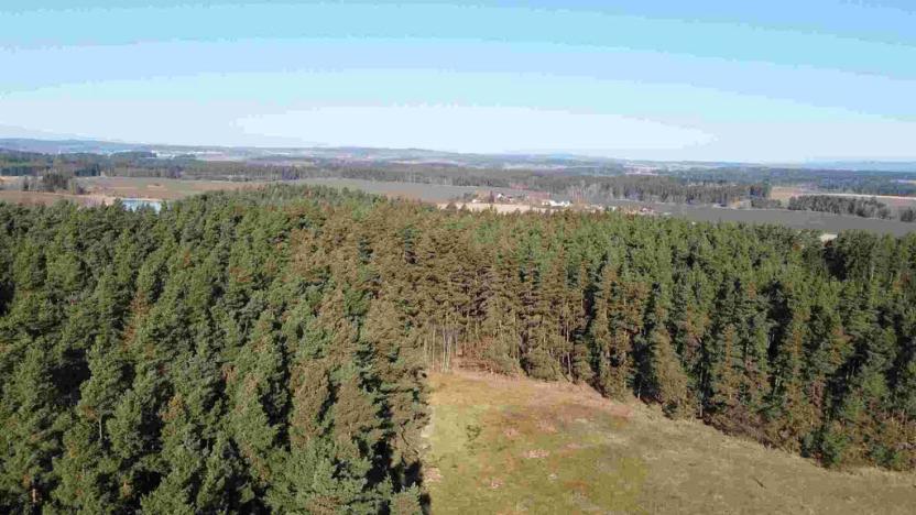 Prodej pozemku, Tisová - Kumpolec, 4563 m2