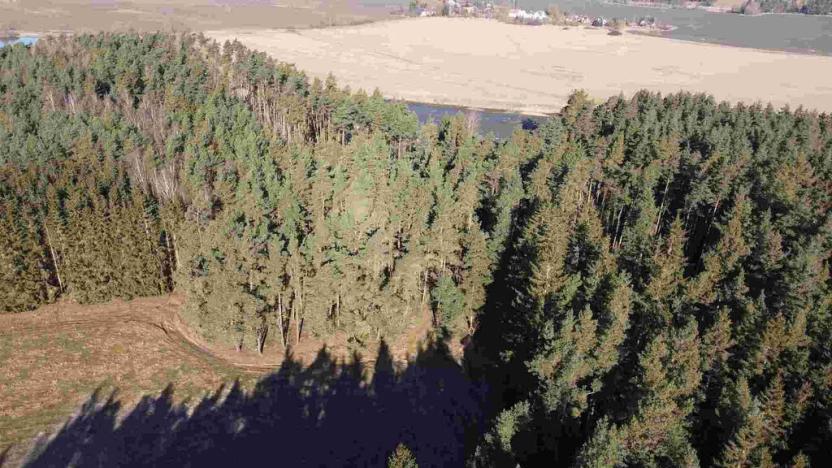 Prodej pozemku, Tisová - Kumpolec, 4563 m2