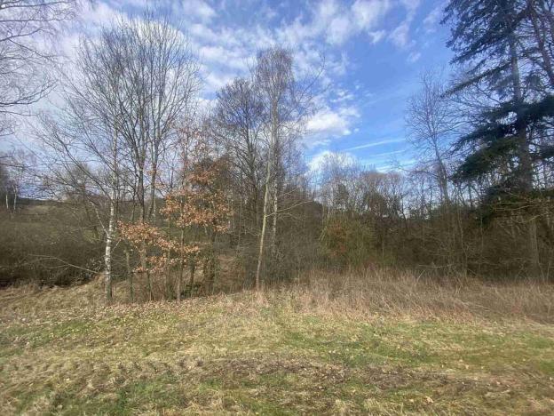 Prodej pozemku, Dolní Dvořiště - Trojany, 18915 m2