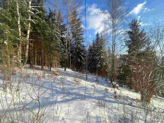 Prodej pozemku, Albrechtice v Jizerských horách, 4671 m2