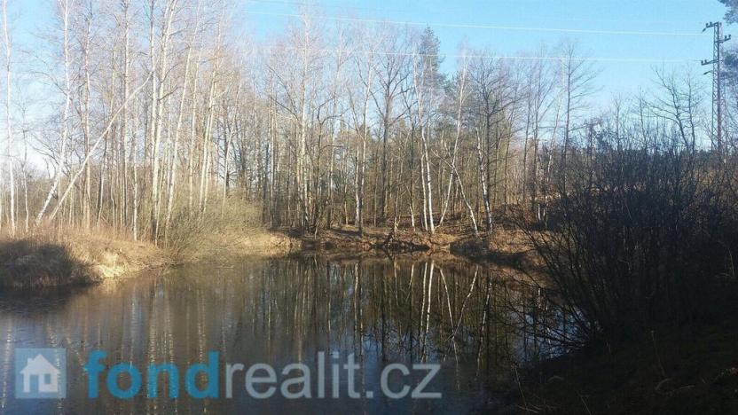 Prodej pozemku, Nová Ves nad Lužnicí, 10115 m2