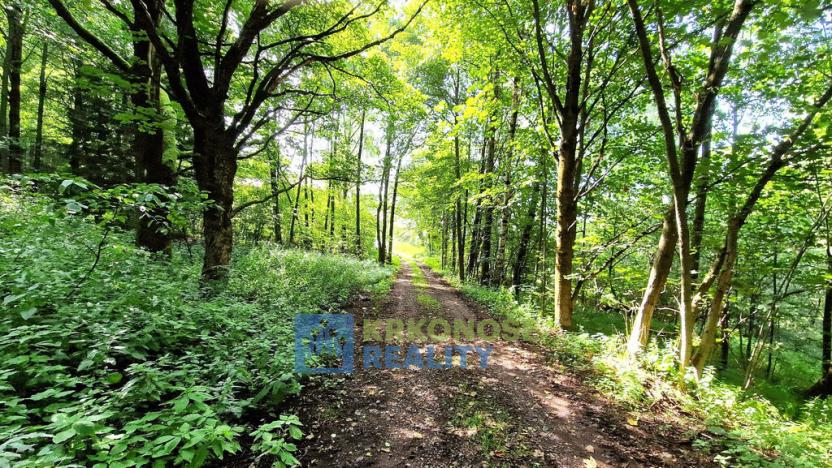 Prodej rodinného domu, Trutnov - Babí, 320 m2