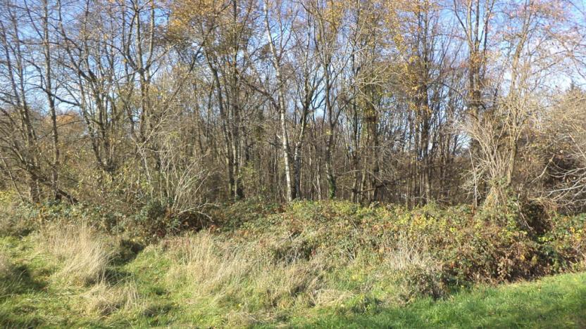 Prodej pozemku, Nové Hrady - Nakolice, 1117 m2