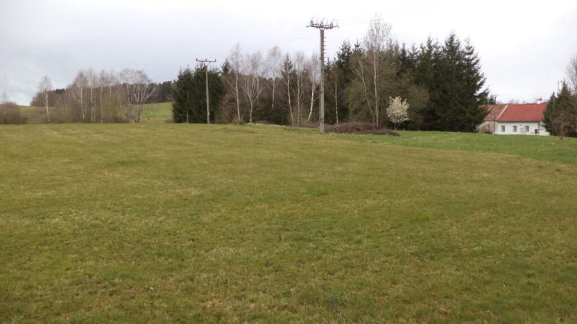 Prodej zahrady, Horní Stropnice - Rychnov u Nových Hradů, 5027 m2