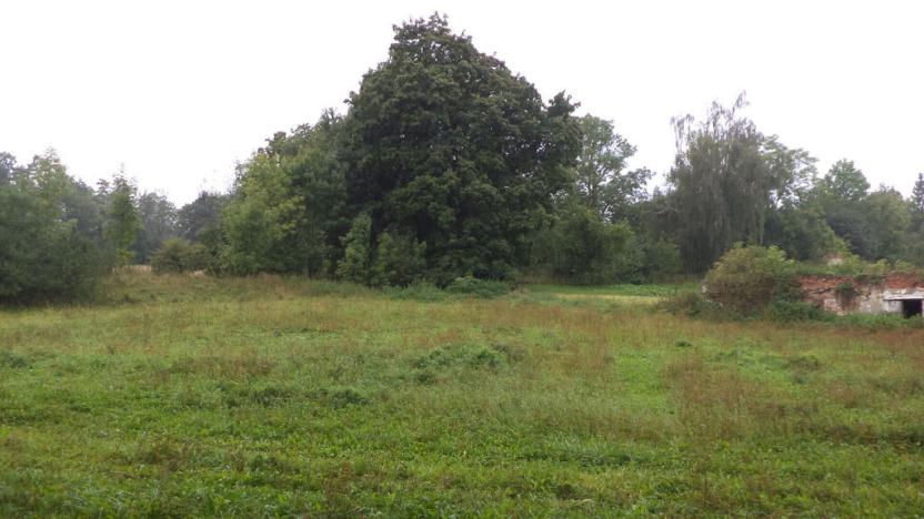 Prodej pozemku, Uherčice - Mešovice, 1334 m2