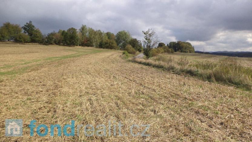 Prodej pole, Tachov, 55727 m2