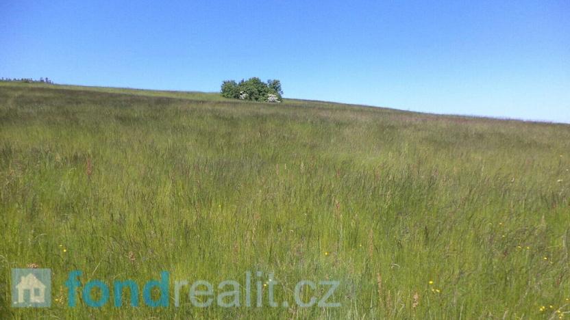 Prodej pole, Staré Křečany, 50580 m2