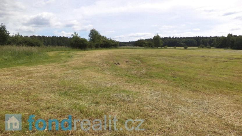 Prodej pozemku, Skořice, 11739 m2