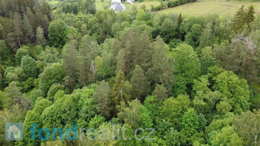 Prodej pozemku, Rejštejn, 5171 m2