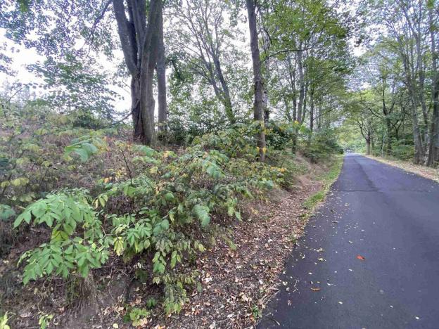 Prodej pole, Dolní Nivy, 1197 m2