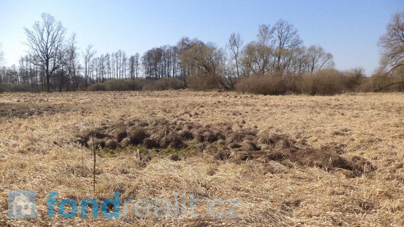 Prodej pozemku, Vesce - Čeraz, 4593 m2