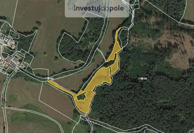 Prodej louky, Přimda - Málkov, 14133 m2
