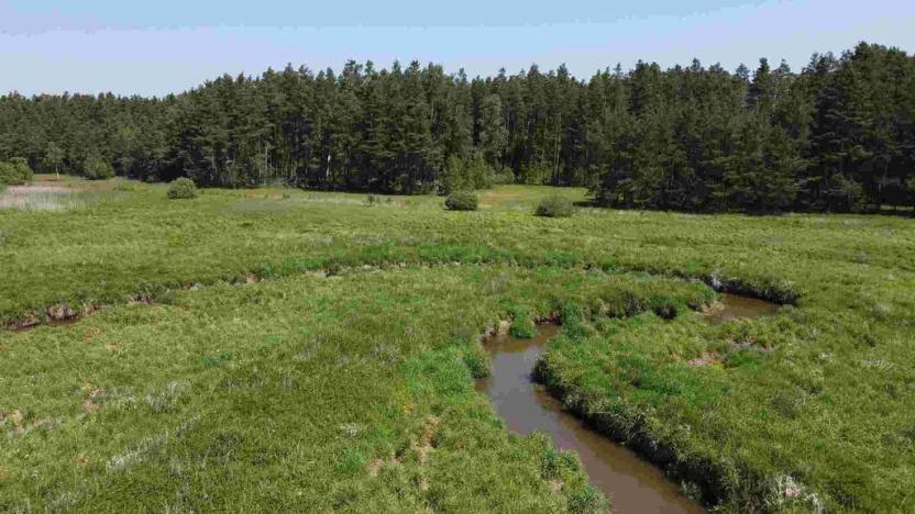 Prodej pozemku, Jílovice, 20535 m2