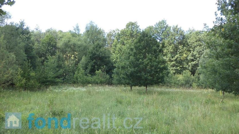 Prodej pozemku, Doudleby, 12879 m2