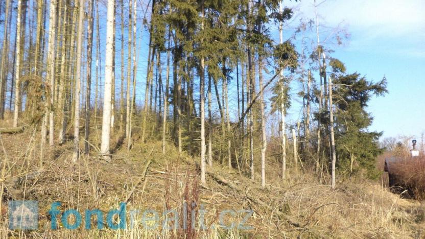 Prodej pozemku, Tábor - Čelkovice, 1595 m2