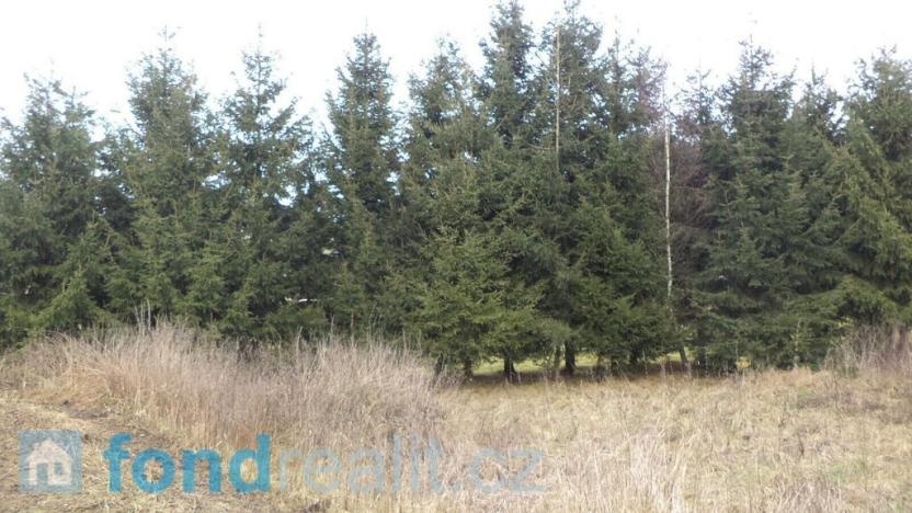 Prodej pole, Horní Planá, 45926 m2