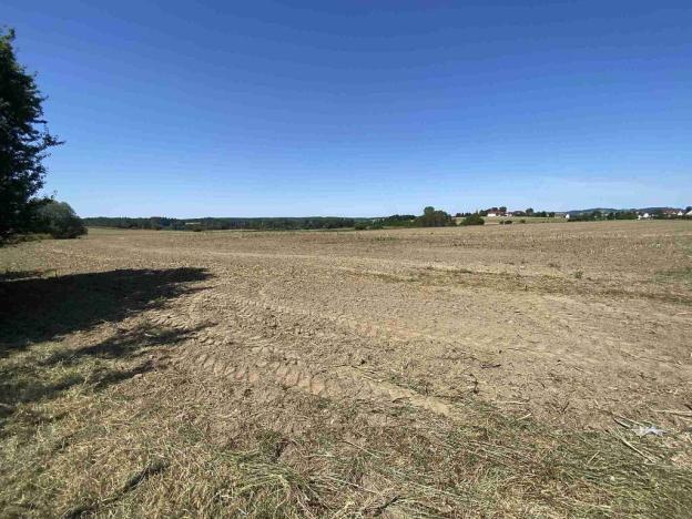 Prodej pole, Dražice, 4492 m2