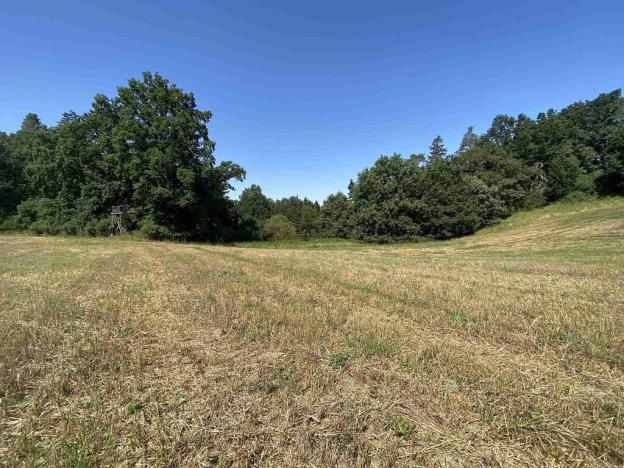 Prodej pole, Dražice, 4492 m2