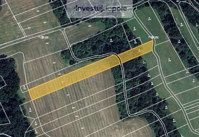 Prodej pole, Doubravice nad Svitavou, Hamry, 4120 m2