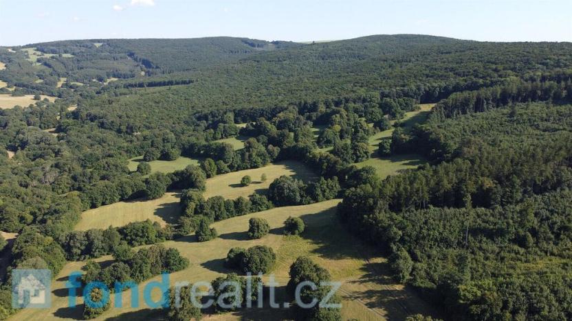 Prodej pozemku, Tvarožná Lhota, 3636 m2