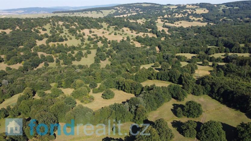 Prodej pozemku, Tvarožná Lhota, 3636 m2