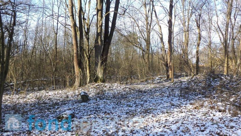 Prodej pozemku, Staré Město pod Landštejnem, 3575 m2