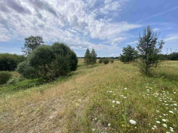 Prodej pozemku, Rapšach - Nová Ves u Klikova, 6986 m2