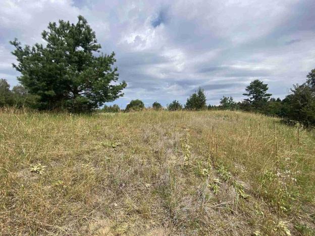 Prodej pozemku, Rapšach - Nová Ves u Klikova, 6986 m2