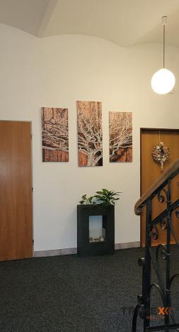 Pronájem kanceláře, Ostrava - Přívoz, Fügnerova, 36 m2