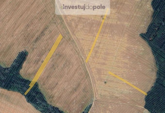 Prodej pole, Mistřice, 3272 m2