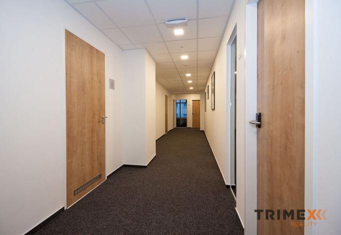 Pronájem kanceláře, Ostrava - Moravská Ostrava, 28. října, 340 m2