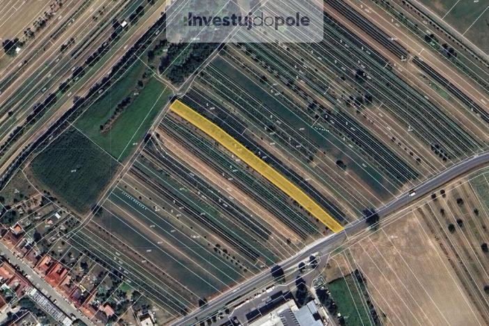Prodej pozemku, Šardice, 2149 m2
