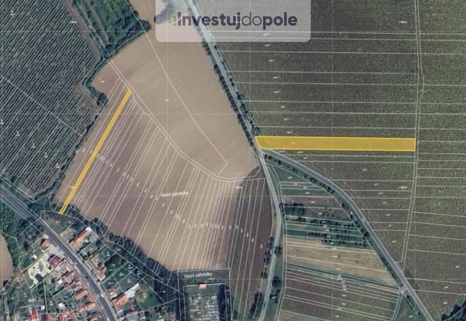Prodej pole, Vlkoš, 3321 m2