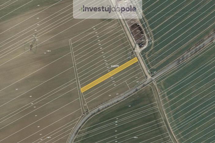 Prodej pole, Moravany, 1249 m2