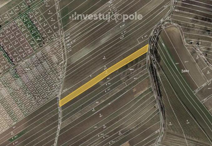 Prodej pozemku, Čejkovice, 1956 m2