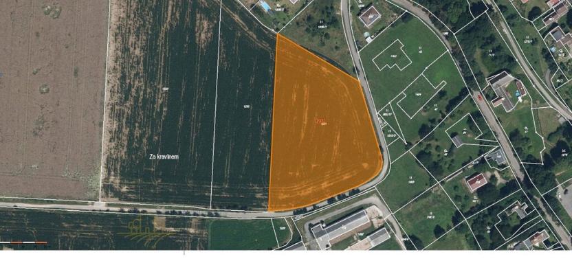 Prodej pole, Litíč, 9124 m2